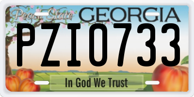 GA license plate PZI0733
