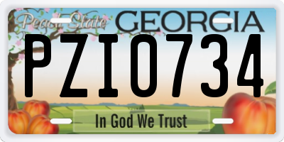 GA license plate PZI0734