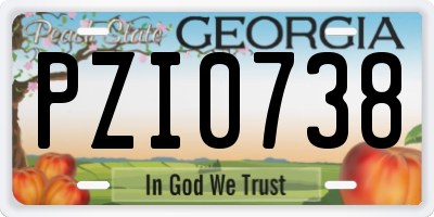 GA license plate PZI0738