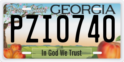 GA license plate PZI0740