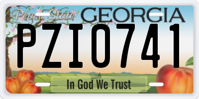 GA license plate PZI0741