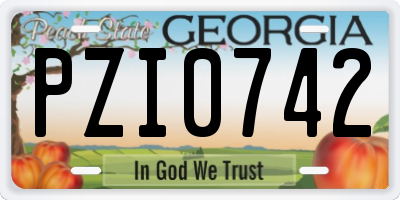 GA license plate PZI0742