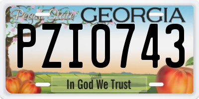 GA license plate PZI0743