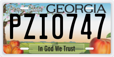 GA license plate PZI0747