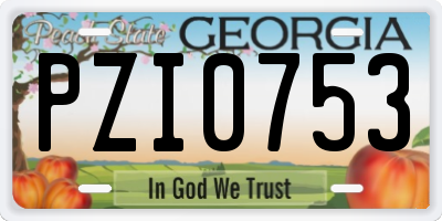 GA license plate PZI0753