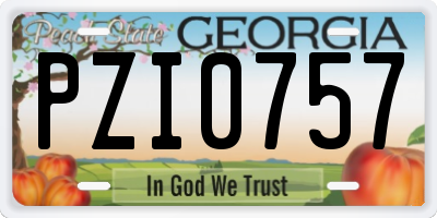 GA license plate PZI0757