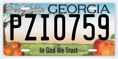 GA license plate PZI0759