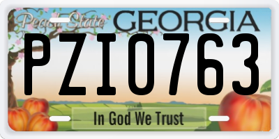GA license plate PZI0763
