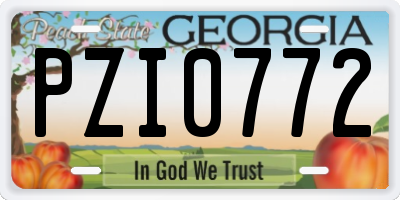 GA license plate PZI0772