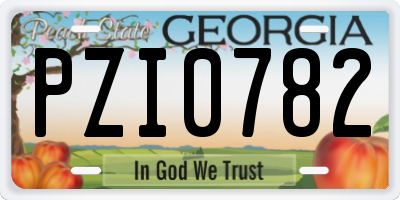 GA license plate PZI0782