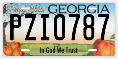 GA license plate PZI0787