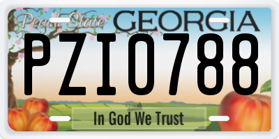 GA license plate PZI0788