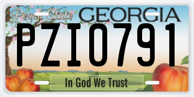 GA license plate PZI0791