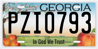 GA license plate PZI0793
