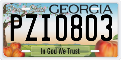 GA license plate PZI0803