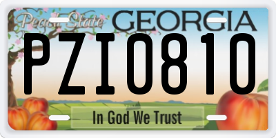 GA license plate PZI0810