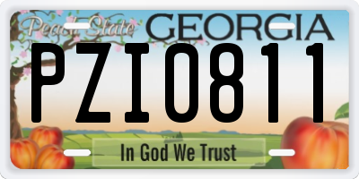 GA license plate PZI0811