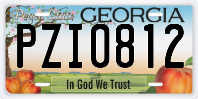 GA license plate PZI0812