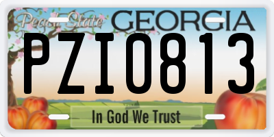 GA license plate PZI0813
