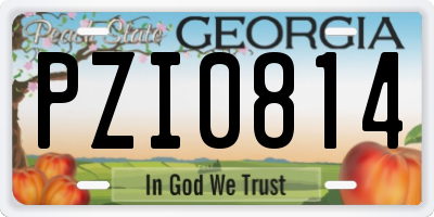 GA license plate PZI0814