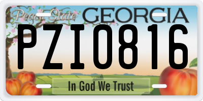 GA license plate PZI0816