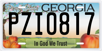 GA license plate PZI0817