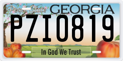 GA license plate PZI0819