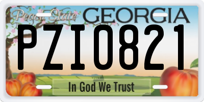 GA license plate PZI0821