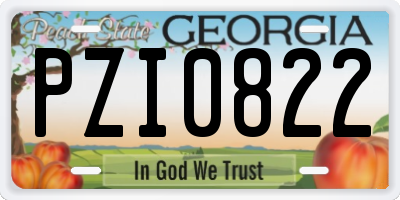 GA license plate PZI0822