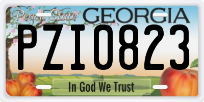 GA license plate PZI0823