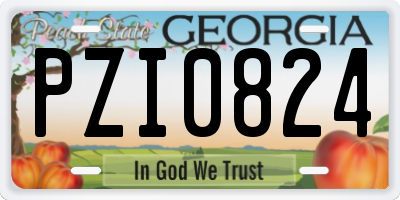 GA license plate PZI0824