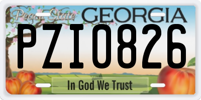 GA license plate PZI0826