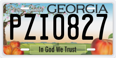 GA license plate PZI0827