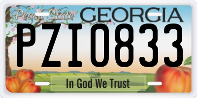 GA license plate PZI0833