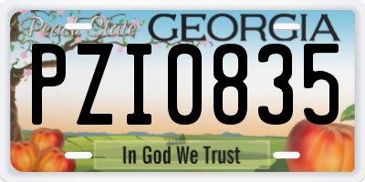 GA license plate PZI0835