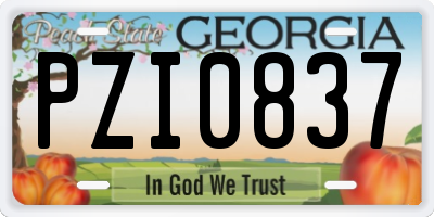 GA license plate PZI0837
