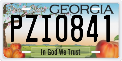 GA license plate PZI0841