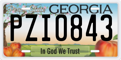 GA license plate PZI0843