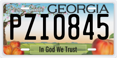 GA license plate PZI0845