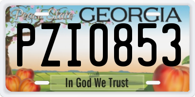 GA license plate PZI0853