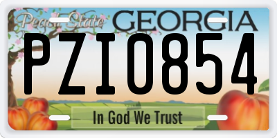 GA license plate PZI0854