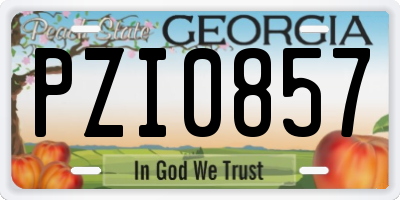 GA license plate PZI0857