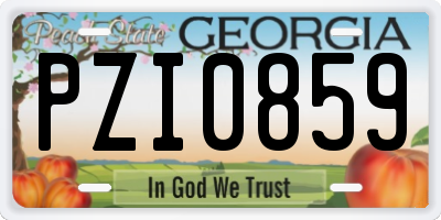 GA license plate PZI0859