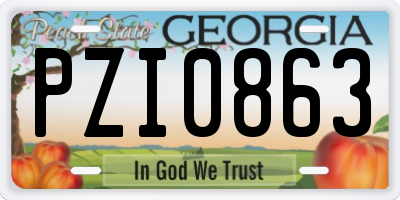 GA license plate PZI0863