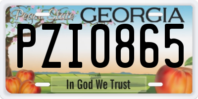 GA license plate PZI0865