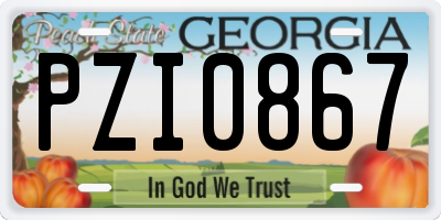 GA license plate PZI0867
