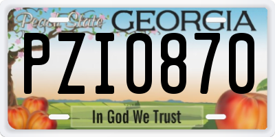 GA license plate PZI0870