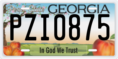 GA license plate PZI0875