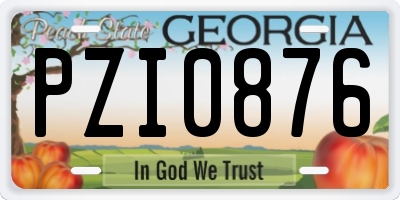 GA license plate PZI0876