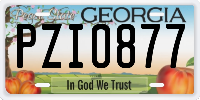 GA license plate PZI0877
